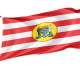 Blumenau Outdoor Quality Flag