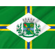 Paulínia, São Paulo Outdoor Quality Flag Paulínia, São Paulo Outdoor Quality Flag
