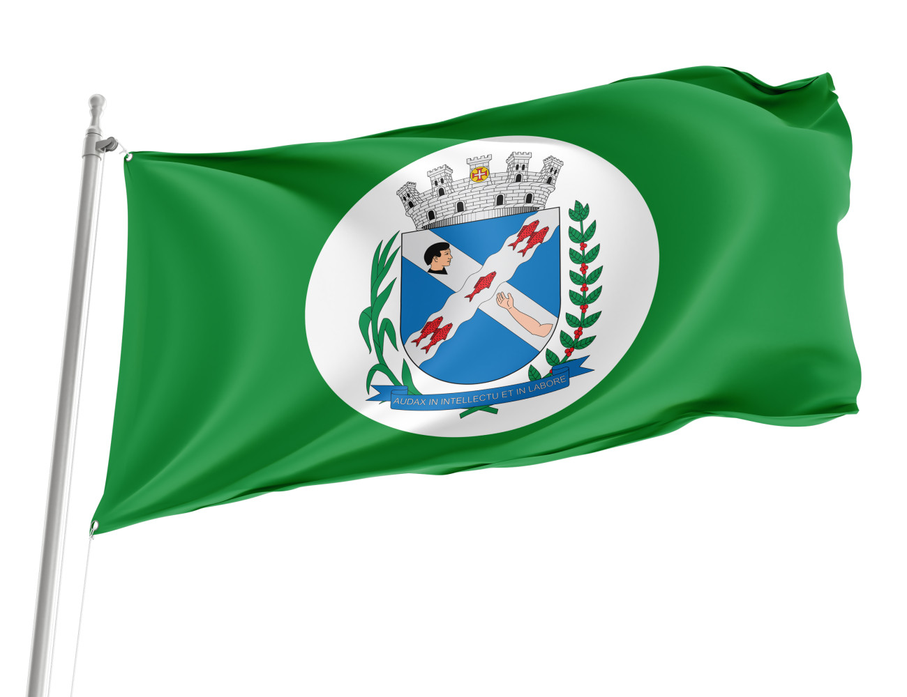 Piracicaba, Sao Paulo Outdoor Quality Flag