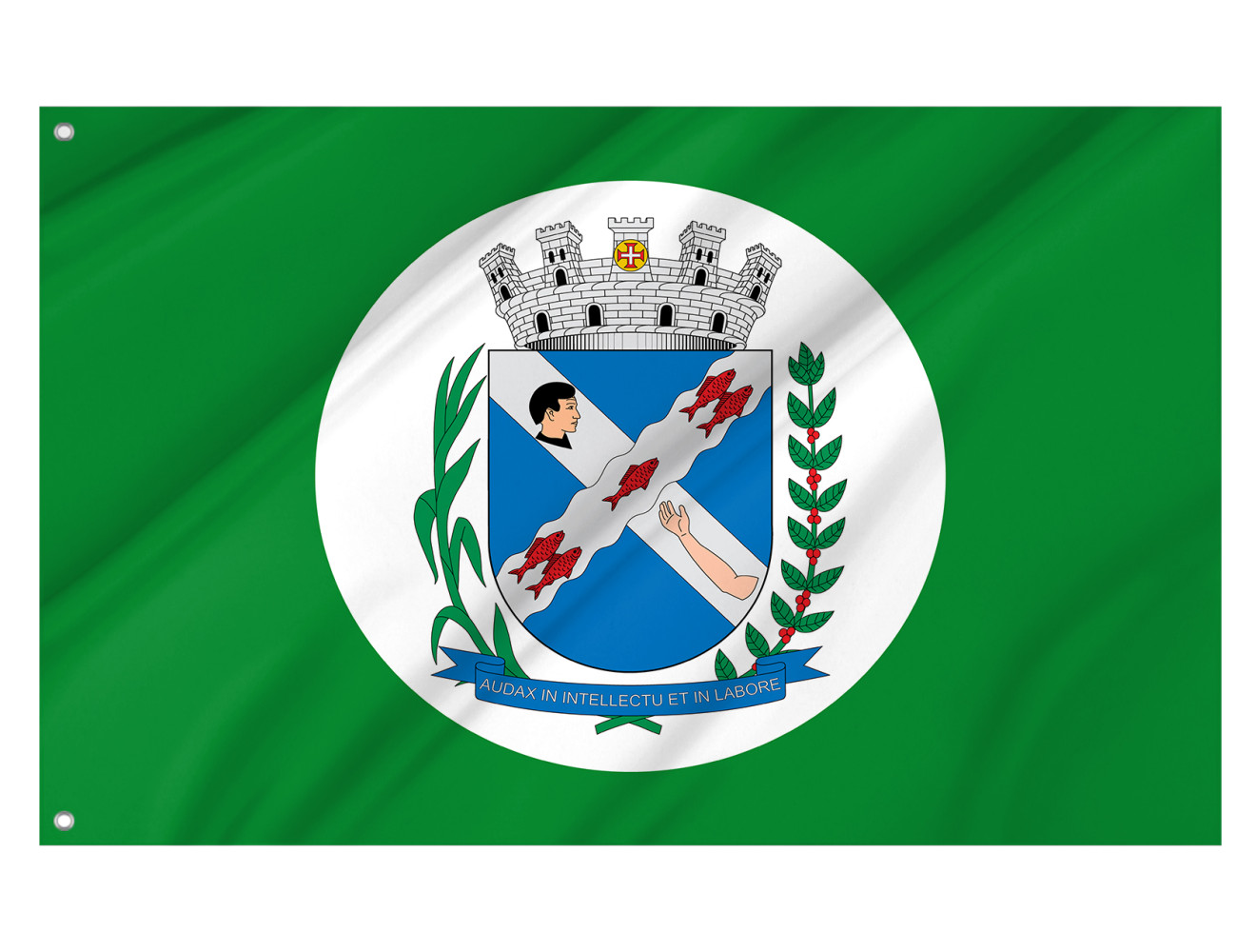 Piracicaba, Sao Paulo Outdoor Quality Flag