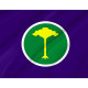 Sao Carlos Outdoor Quality Flag Sao Carlos Outdoor Quality Flag