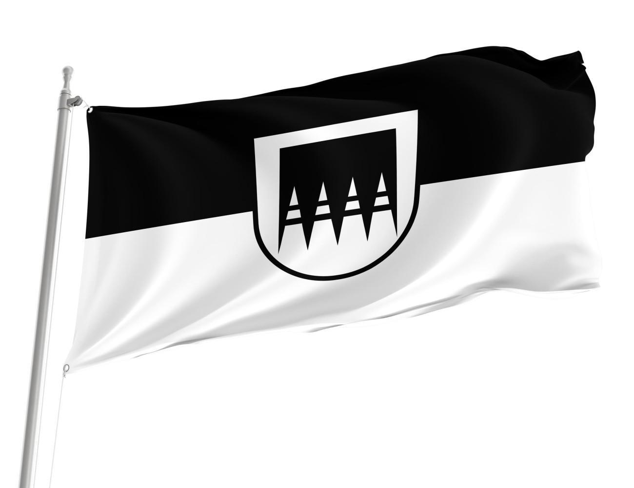 Asselfingen Flag, DEASS