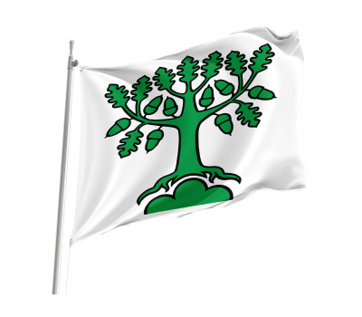 Flag of the municipality of Bergdietikon (AG)