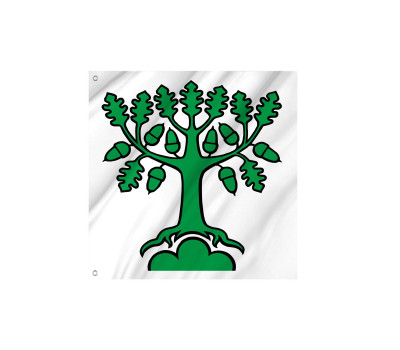 Flag of the municipality of Bergdietikon (AG)