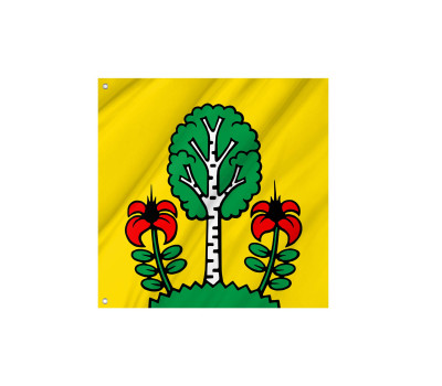 Flag of the municipality of Besenbüren (AG)