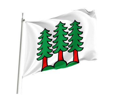 Flag of the municipality of Bettwil (AG)