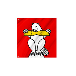 Flag of the municipality of Biberstein (AG)