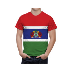 Gambia Flag T-Shirt