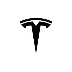 Tesla Towel