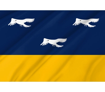 Arapongas Outdoor Quality Flag