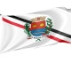 Araras, São Paulo Outdoor Qualität Flagge - Image 1