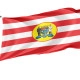 Blumenau Outdoor Quality Flag - Image 1