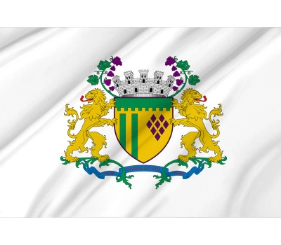 Caxias do Sul Outdoor Quality Flag