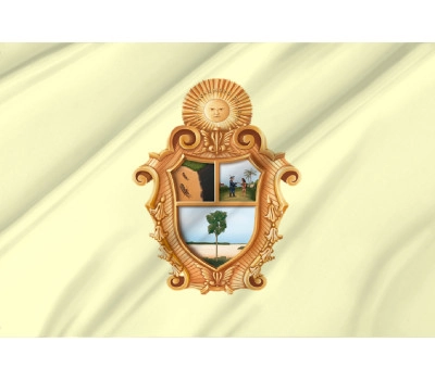 Manaus, State Amazonas Outdoor Quality Flag