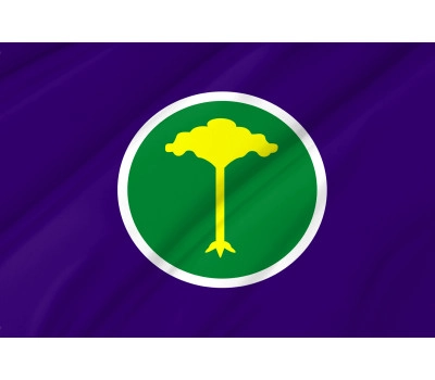 Sao Carlos Outdoor Quality Flag
