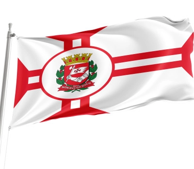 Sao Paulo city Outdoor Quality Flag