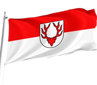 Oberdischingen Flag