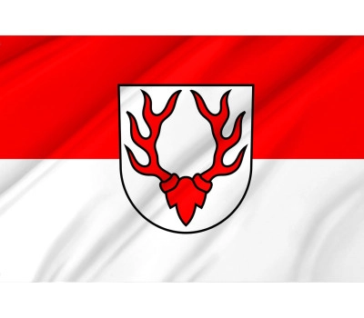 Oberdischingen Flag