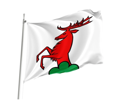 Flag of the municipality of Ammerswil (AG)