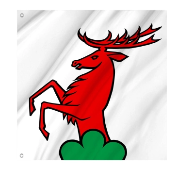 Flag of the municipality of Ammerswil (AG)