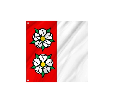 Flag of the municipality of Auenstein (AG)