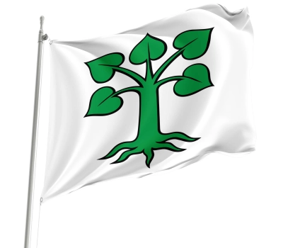 Flag of the municipality of Auw (AG)