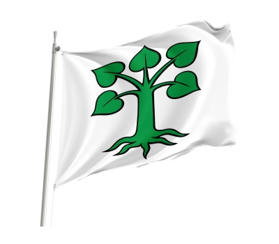 Flag of the municipality of Auw (AG)
