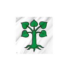 Flag of the municipality of Auw (AG)