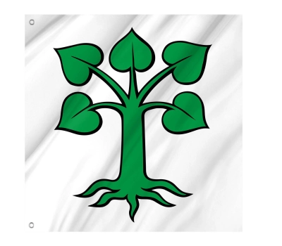 Flag of the municipality of Auw (AG)