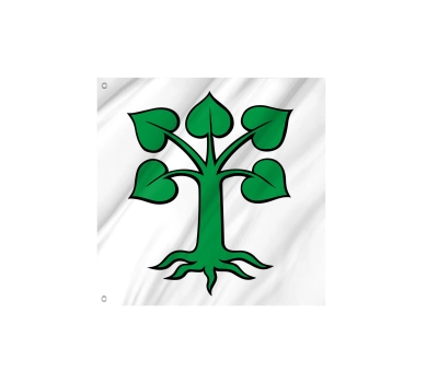 Flag of the municipality of Auw (AG)
