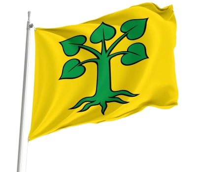 Flag of the municipality of Beinwil (Freiamt) (AG)