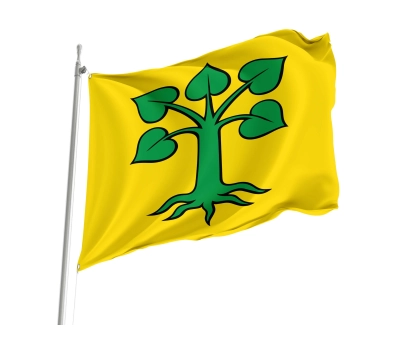 Flag of the municipality of Beinwil (Freiamt) (AG)