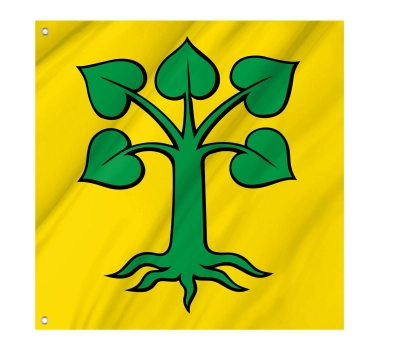 Flag of the municipality of Beinwil (Freiamt) (AG)
