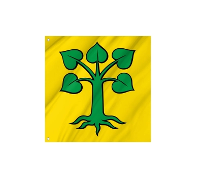 Flag of the municipality of Beinwil (Freiamt) (AG)