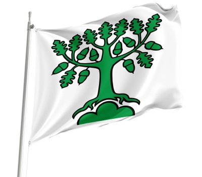 Flag of the municipality of Bergdietikon (AG)