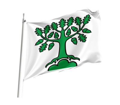 Flag of the municipality of Bergdietikon (AG)