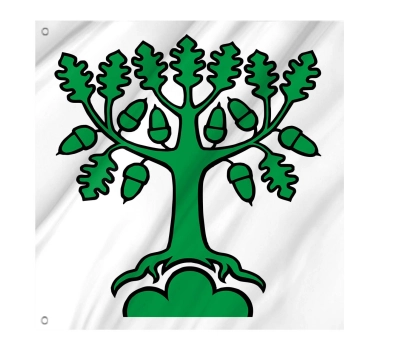 Flag of the municipality of Bergdietikon (AG)