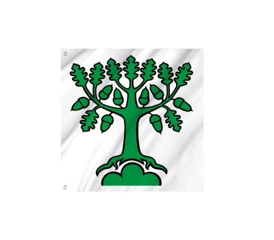 Flag of the municipality of Bergdietikon (AG)