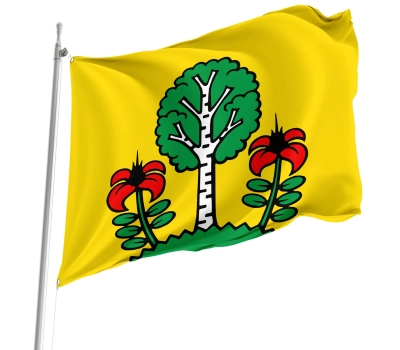 Flag of the municipality of Besenbüren (AG)