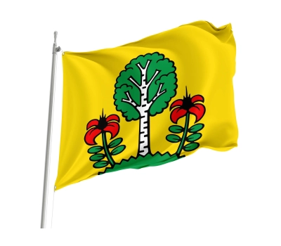 Flag of the municipality of Besenbüren (AG)