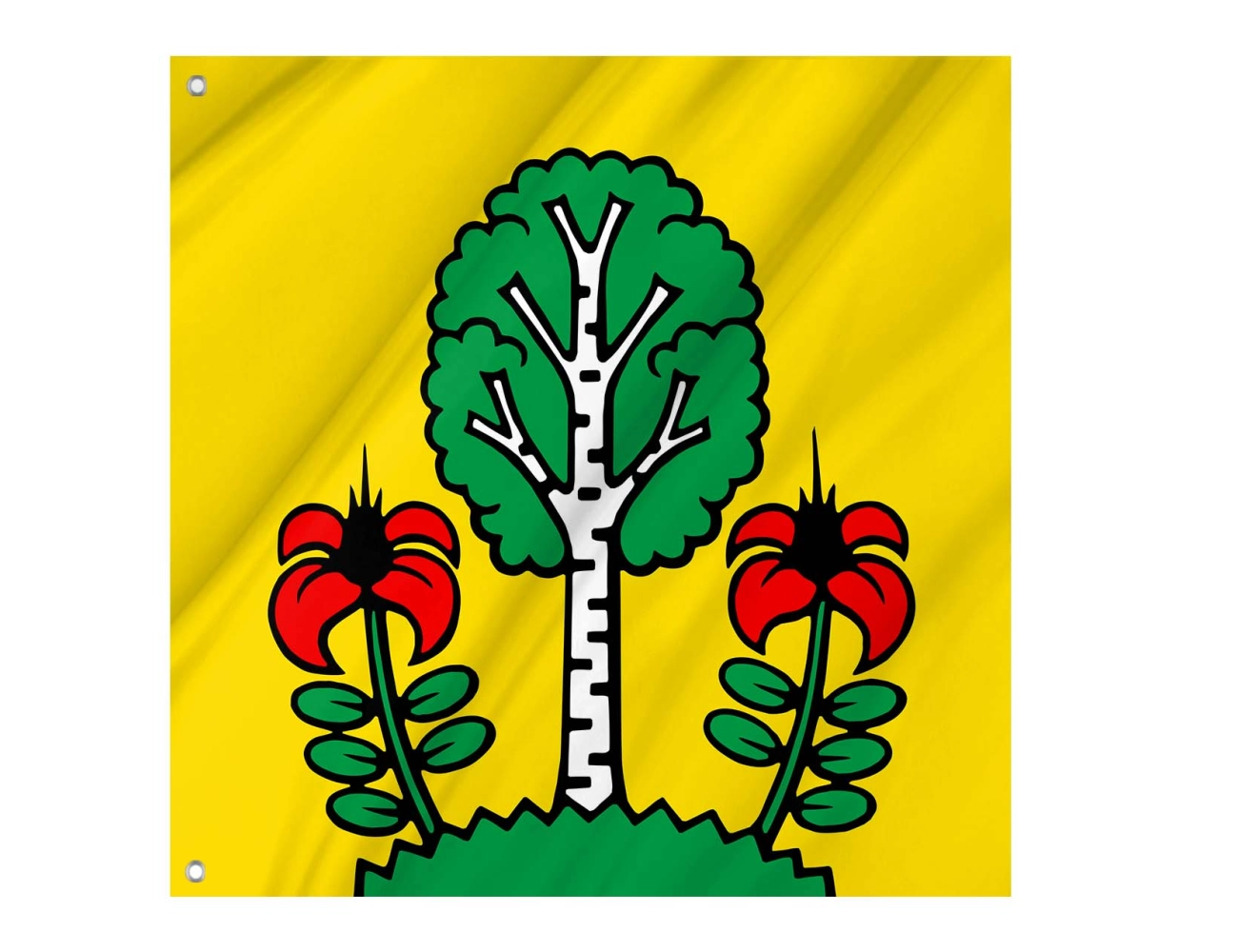 Besenbüren AG Switzerland municipal polyester flag square design