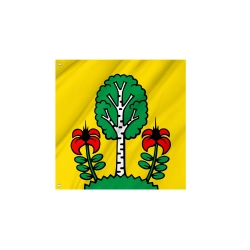Flag of the municipality of Besenbüren (AG)