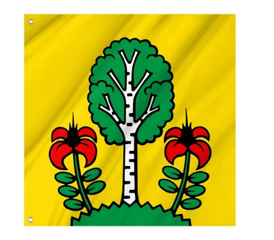 Flag of the municipality of Besenbüren (AG)
