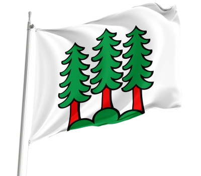 Flag of the municipality of Bettwil (AG)