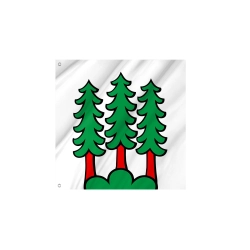 Flag of the municipality of Bettwil (AG)