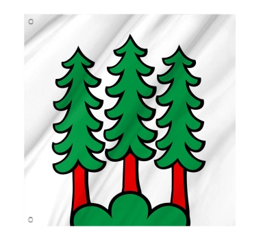 Flag of the municipality of Bettwil (AG)
