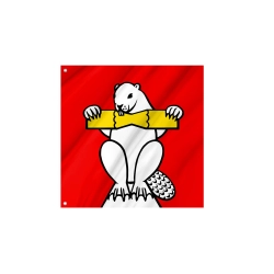 Flag of the municipality of Biberstein (AG)