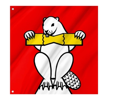 Flag of the municipality of Biberstein (AG)