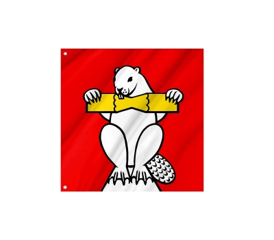 Flag of the municipality of Biberstein (AG)