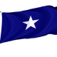 Bonnie Blue Outdoor Quality Flag - Image 1